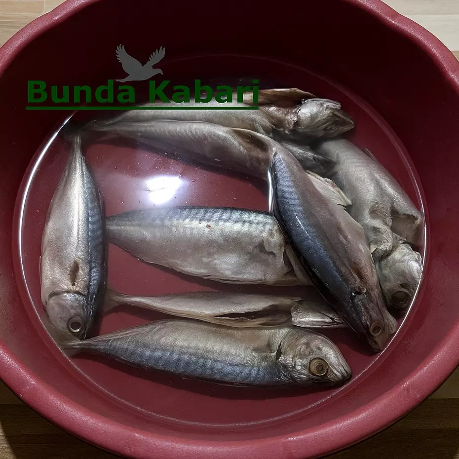 Ikan bebas formalin dalam 30 menit, cuma pakai cuka masak