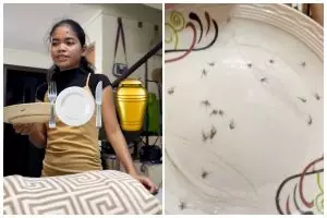 Percaya nggak minyak kelapa bisa enyahkan nyamuk? Cewek ini buktikan sendiri hasilnya