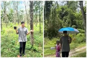 7 Potret kebun karet Jirayut hampir 1 hektar dibeli Rp250 juta, akan diubah jadi ladang kelapa sawit