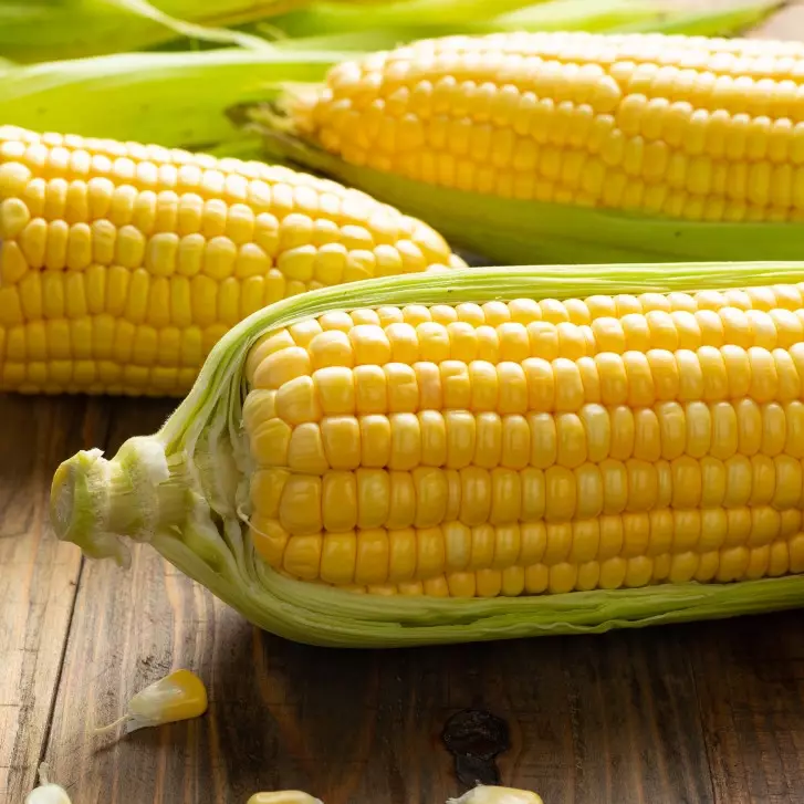 Sering zonk pilih jagung? Ini trik mudah dapat yang manis banget