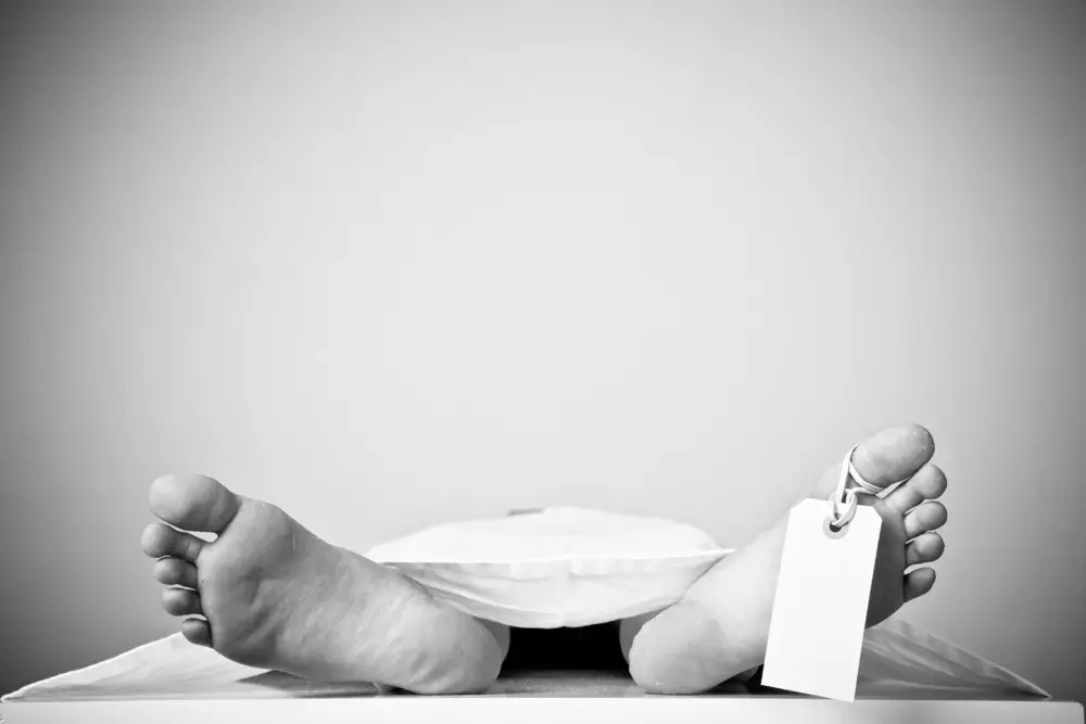 fakta penemuan mayat diplomat © 2025 Shutterstock.com