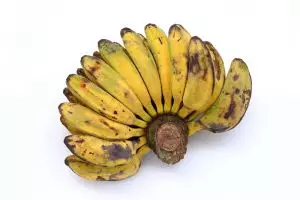 Yakin sudah pakai pisang yang tepat? Kenali 5 jenis pisang dan jodoh masakannya biar nggak gagal