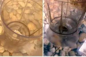 Nggak perlu sabun, ini trik jitu bikin gelas blender buram jadi bening kayak baru