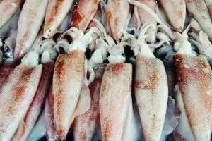 Kenali cumi, sotong, dan gurita: Beda tekstur, beda teknik masak