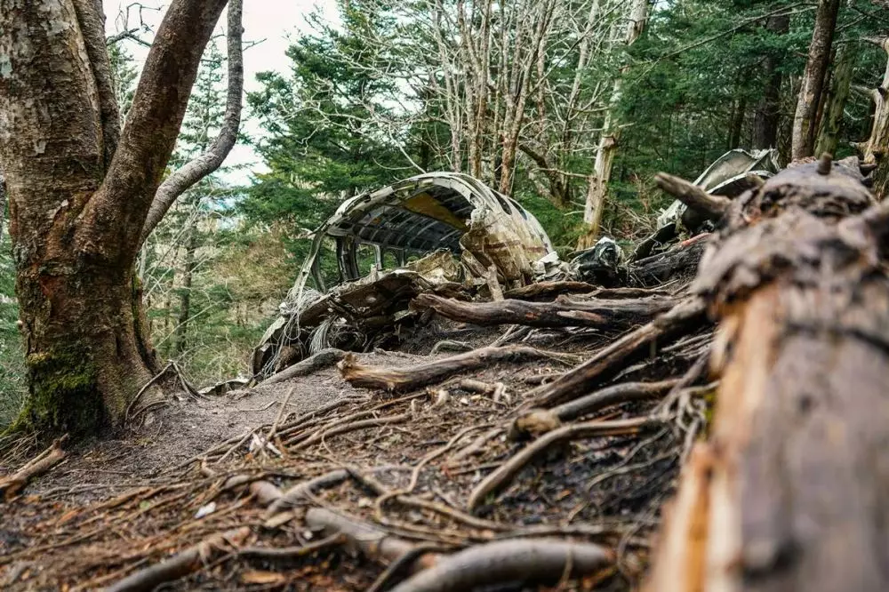 apa itu saklar bahan bakar © 2025 berbagai sumber