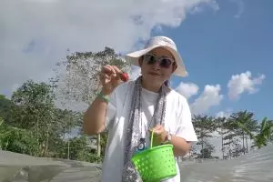 Dari stroberi sampai selada, intip 7 potret segarnya hasil panen dari kebun pribadi Titiek Soeharto