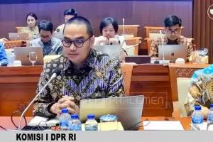 TikTok minta regulasi media sosial terpisah dari penyiaran, antisipasi agar kreator tidak dirugikan