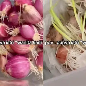 Nyesel baru tahu, ternyata begini cara simpan bawang biar nggak bertunas dan awet berbulan-bulan