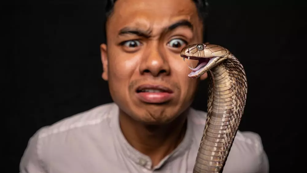 Benarkah ular bisa menyimpan dendam © 2025 brilio.net Benarkah ular bisa menyimpan dendam © 2025 brilio.net