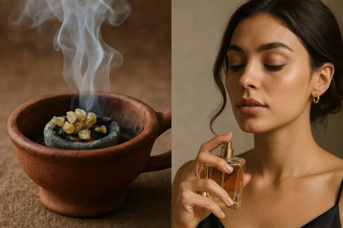 Benarkah kemenyan jadi rahasia wangi parfum ternama? Ini penjelasannya