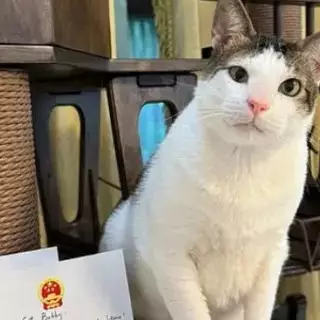 Bobby Kertanegara dikawal polisi saat hadiri event kucing, ini penjelasan Istana