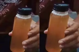 Bedakan madu asli dan palsu dengan cepat, ternyata tak perlu dipanaskan atau dicampur air