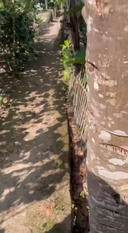 Sus Rini bangun rumah gedong di kampung © Instagram