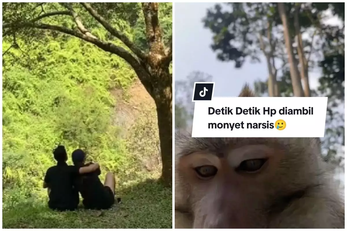Niat ngonten romantis, viral ponsel sejoli malah direbut monyet yang ikut 'ngevlog', ini kronologinya