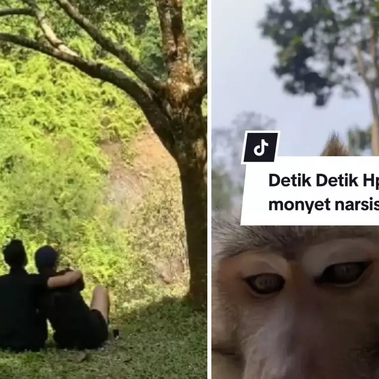 Niat ngonten romantis, viral ponsel sejoli malah direbut monyet yang ikut 'ngevlog', ini kronologinya