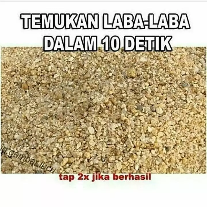 tebak-tebakan gambar © 2025 Instagram