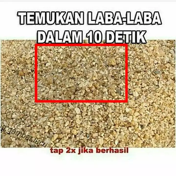 tebak-tebakan gambar © 2025 Instagram