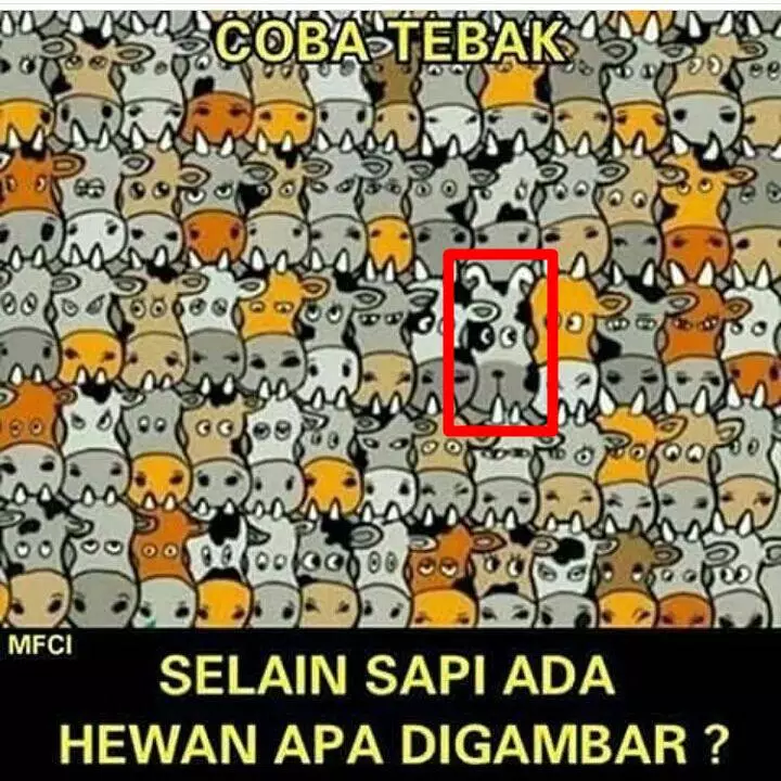 tebak-tebakan gambar © 2025 Instagram
