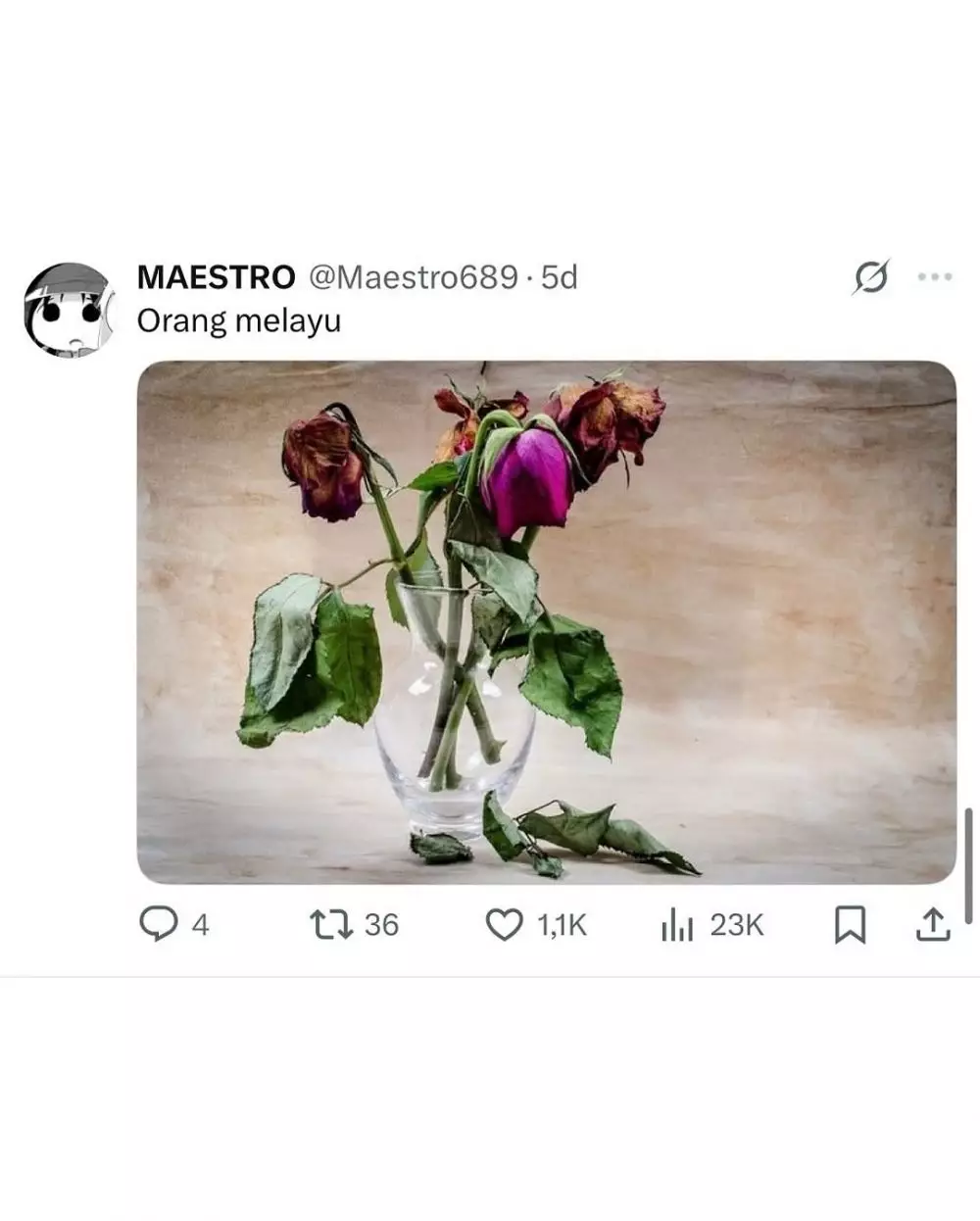 nama kota dari meme © 2025 Instagram nama kota dari meme © 2025 Instagram