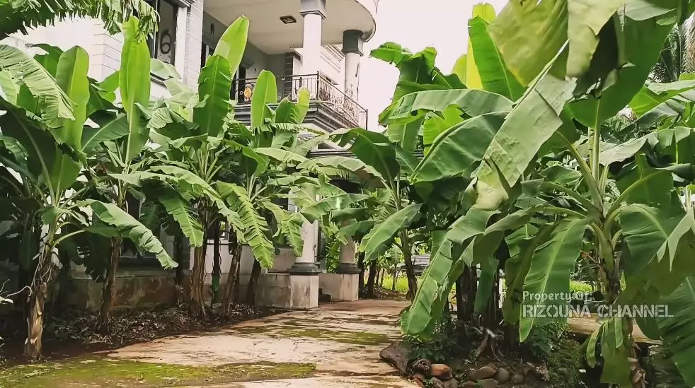 potret kondisi rumah putih bikin miris © YouTube