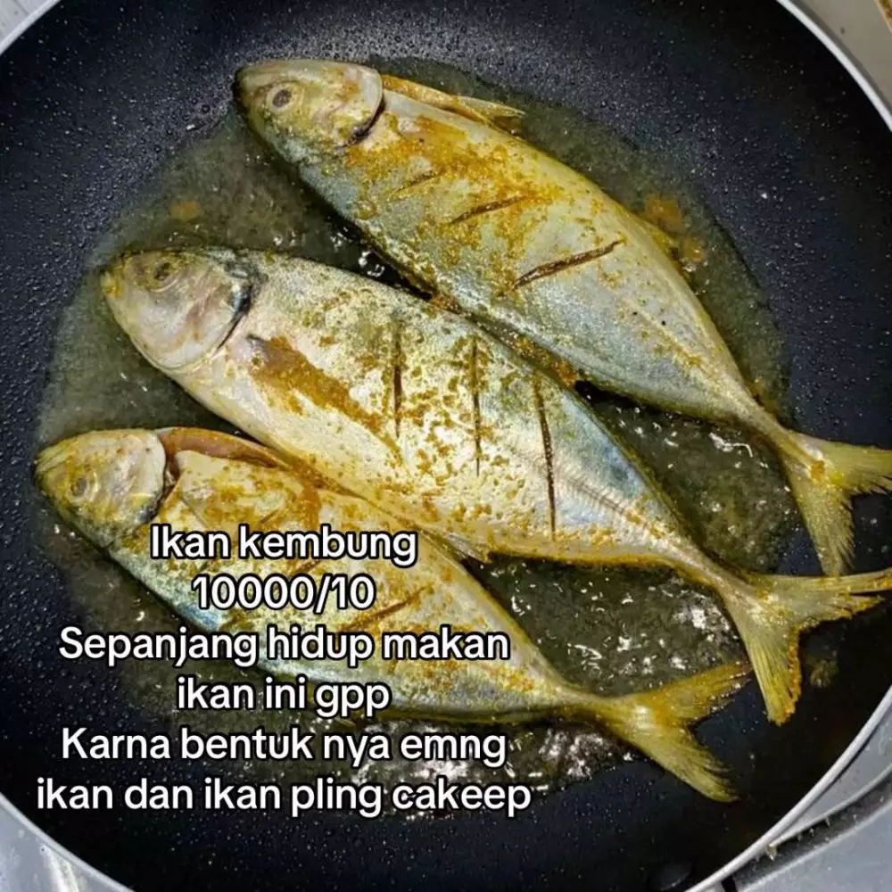 rating ikan good looking © 2025 TikTok rating ikan good looking © 2025 TikTok