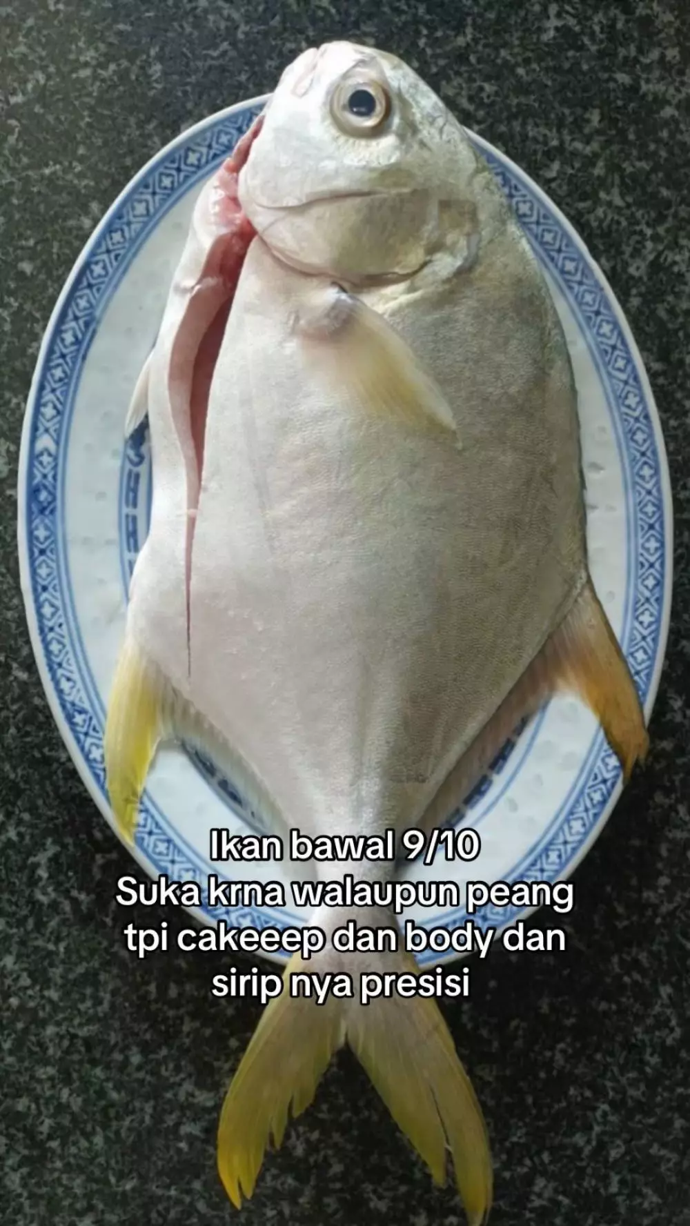 rating ikan good looking © 2025 TikTok rating ikan good looking © 2025 TikTok