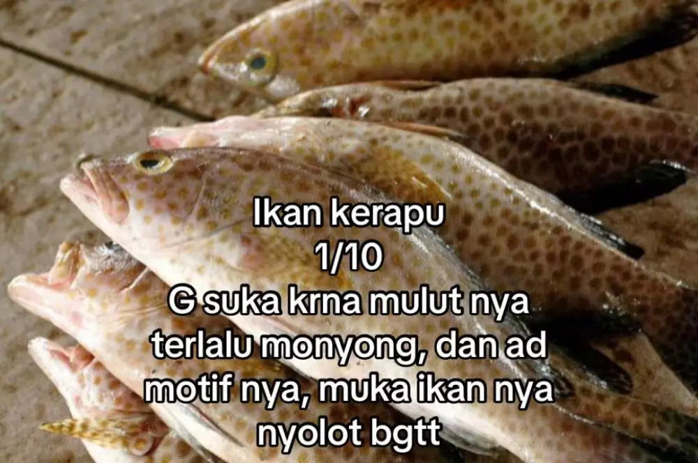 rating ikan good looking © 2025 TikTok rating ikan good looking © 2025 TikTok