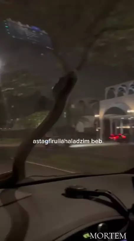 ular tiba-tiba merayap di atas mobil © TikTok