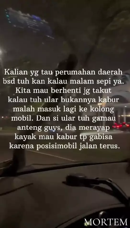 ular tiba-tiba merayap di atas mobil © TikTok