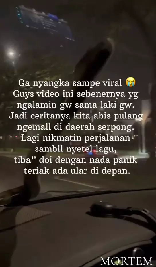 ular tiba-tiba merayap di atas mobil © TikTok