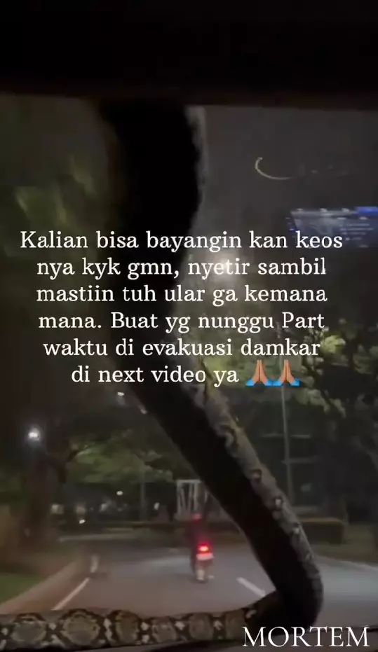 ular tiba-tiba merayap di atas mobil © TikTok