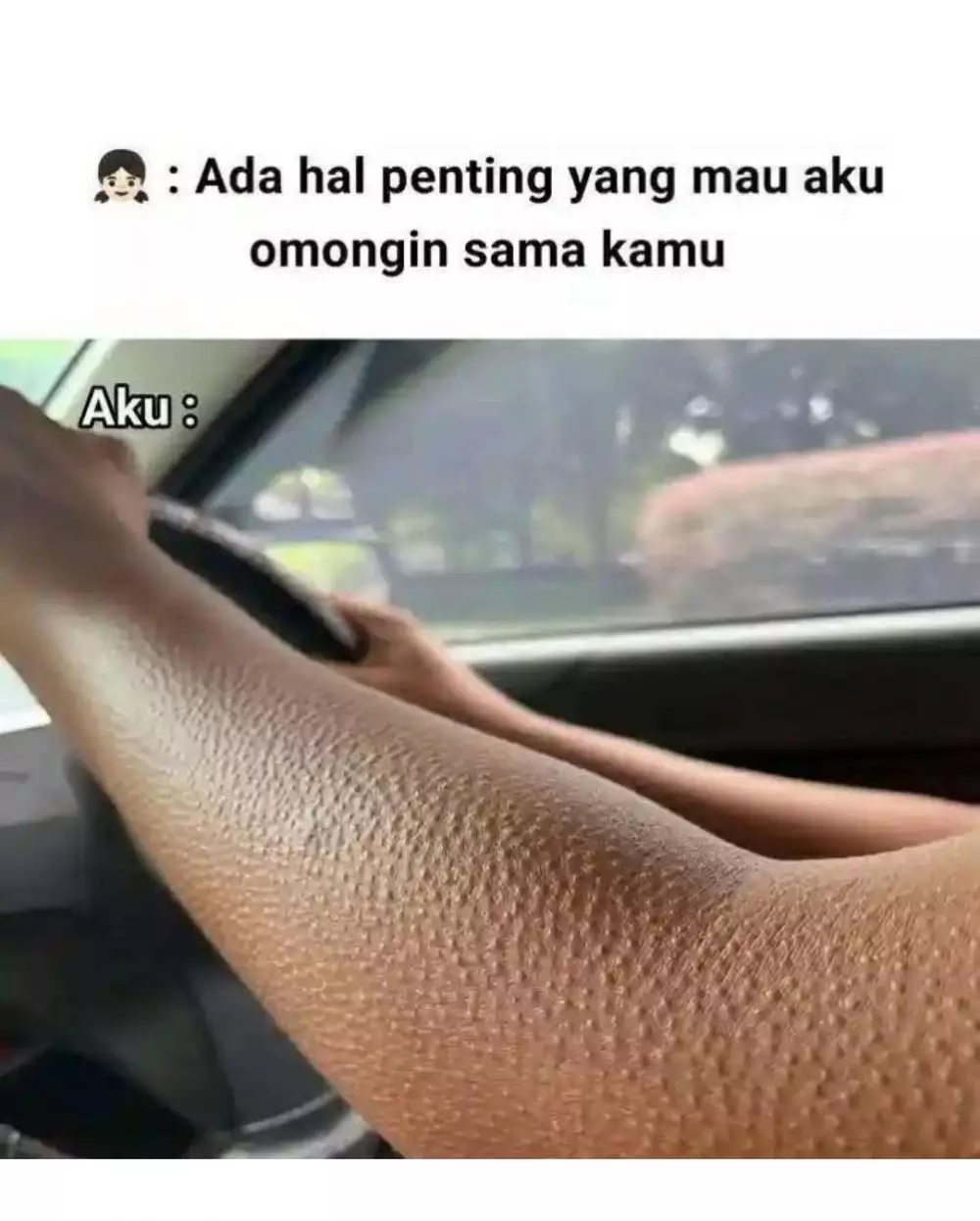meme lucu buat orang dewasa © 2025 Instagram meme lucu buat orang dewasa © 2025 Instagram