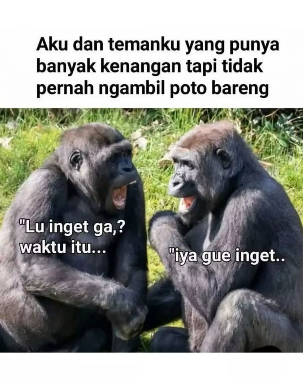 meme lucu buat orang dewasa © 2025 Instagram meme lucu buat orang dewasa © 2025 Instagram