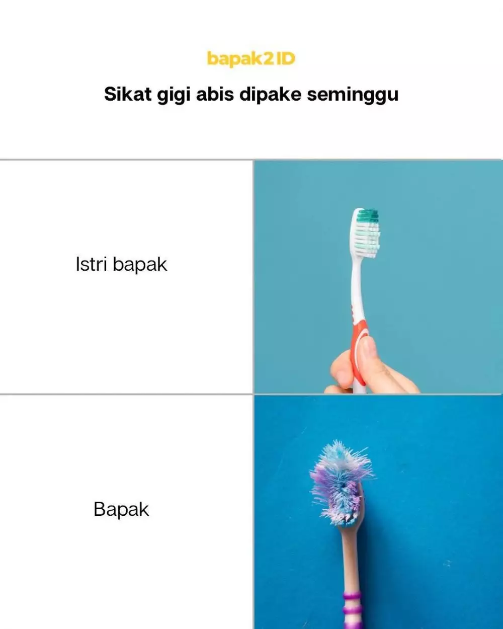 beda suami dan istri © 2025 Instagram