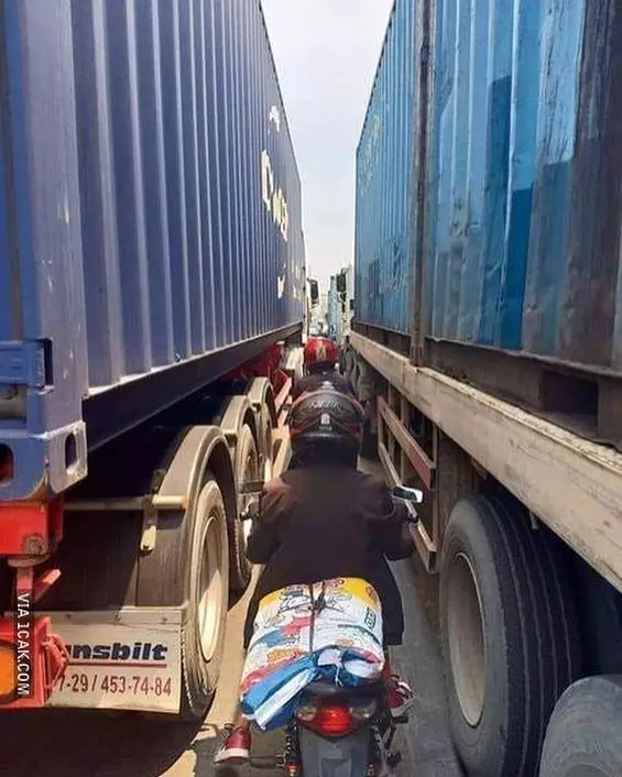 potret lucu bikin ketar ketir © 2025 berbagai sumber