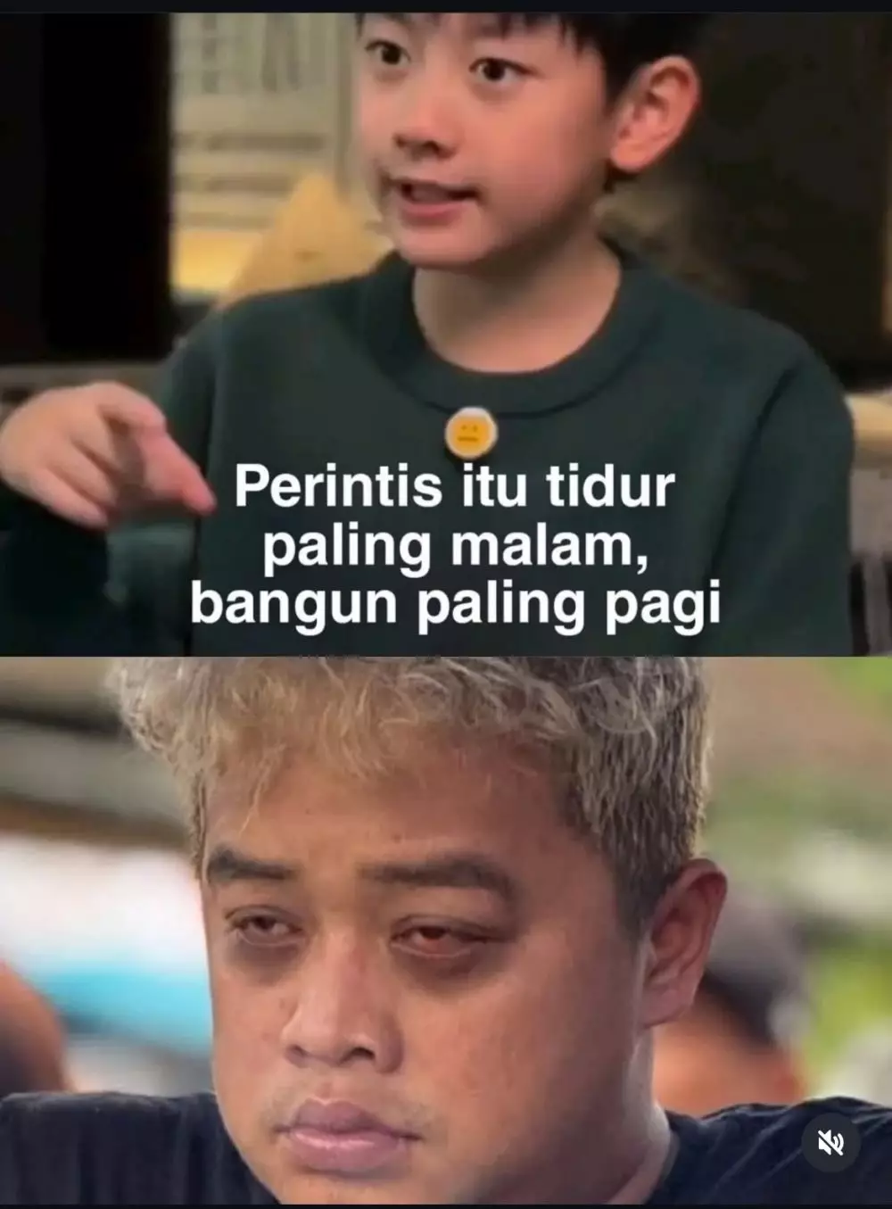 meme perintis pewaris © 2025 berbagai sumber