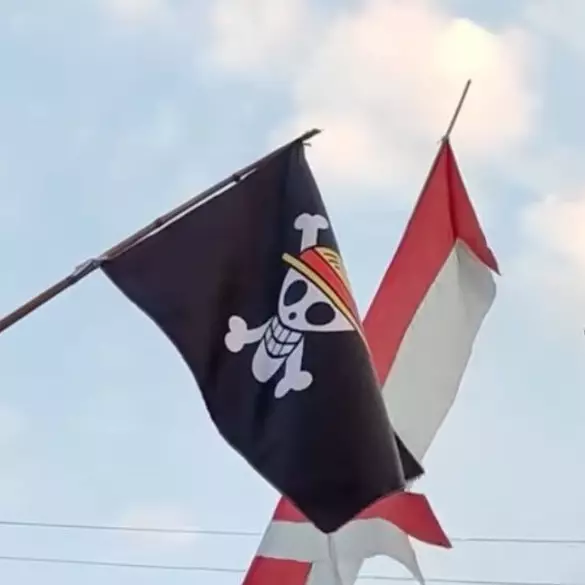 Viral bendera bajak laut One Piece jelang HUT RI, Menko Polkam Budi Gunawan ingatkan ancaman pidana