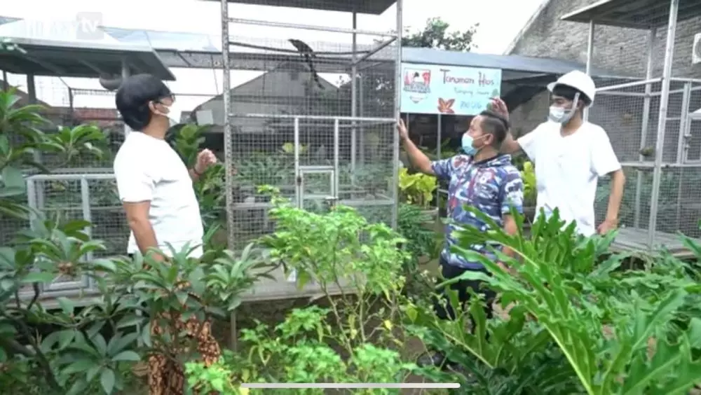 rumah narji yang sekarang petani kebunnya luas © berbagai sumber rumah narji yang sekarang petani kebunnya luas © berbagai sumber