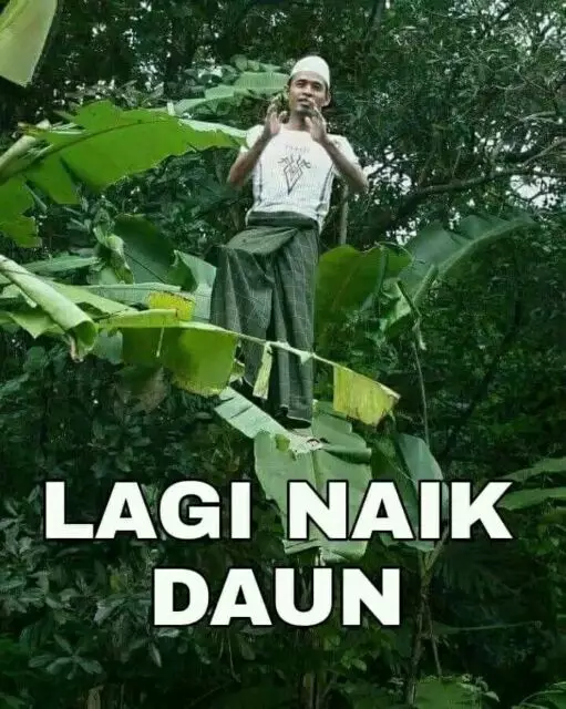 meme salah tapi benar © 2025 Instagram meme salah tapi benar © 2025 Instagram