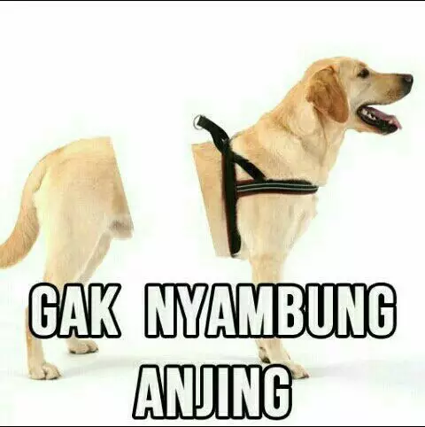 meme lucu capek galau © 2025 X meme lucu capek galau © 2025 X