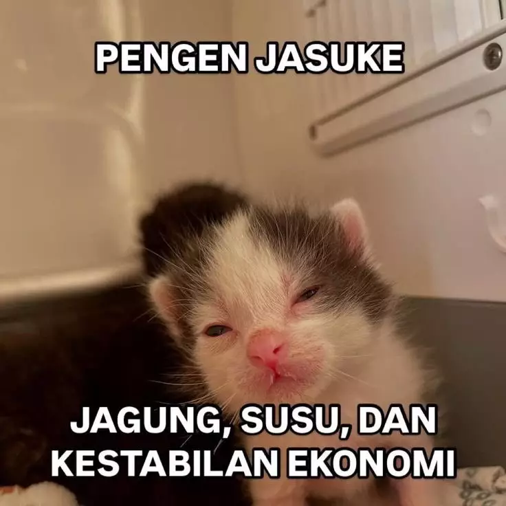 meme suka duka pencari cuan © 2025 berbagai sumber meme suka duka pencari cuan © 2025 berbagai sumber