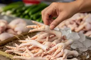Cara pilih ceker ayam segar dan padat daging, jangan sampai salah beli!