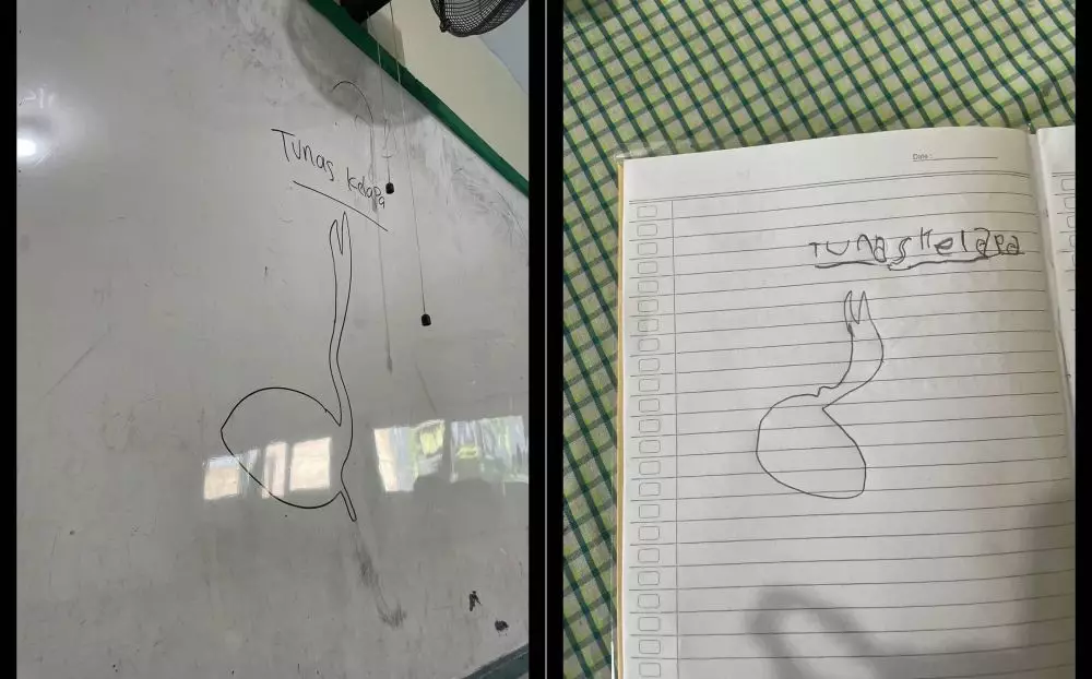 gambar tunas kelapa lucu © 2025 TikTok gambar tunas kelapa lucu © 2025 TikTok