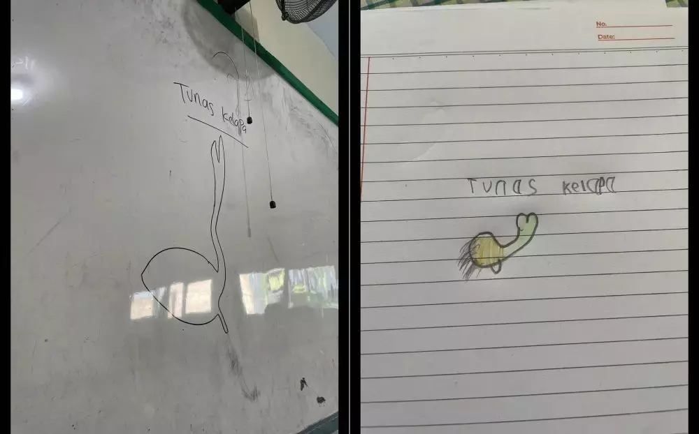 gambar tunas kelapa lucu © 2025 TikTok gambar tunas kelapa lucu © 2025 TikTok