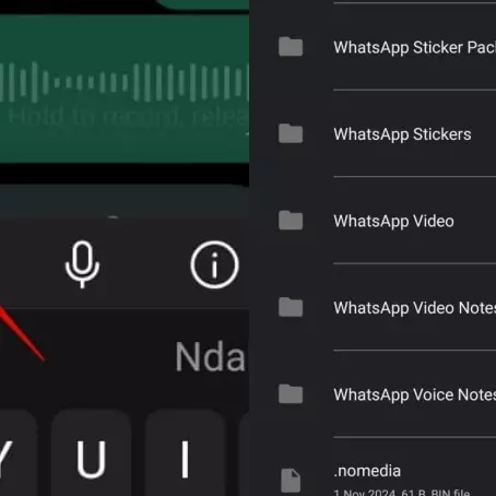 Cara mengakses pesan suara di WhatsApp dan menyimpannya agar tidak hilang saat chat dihapus