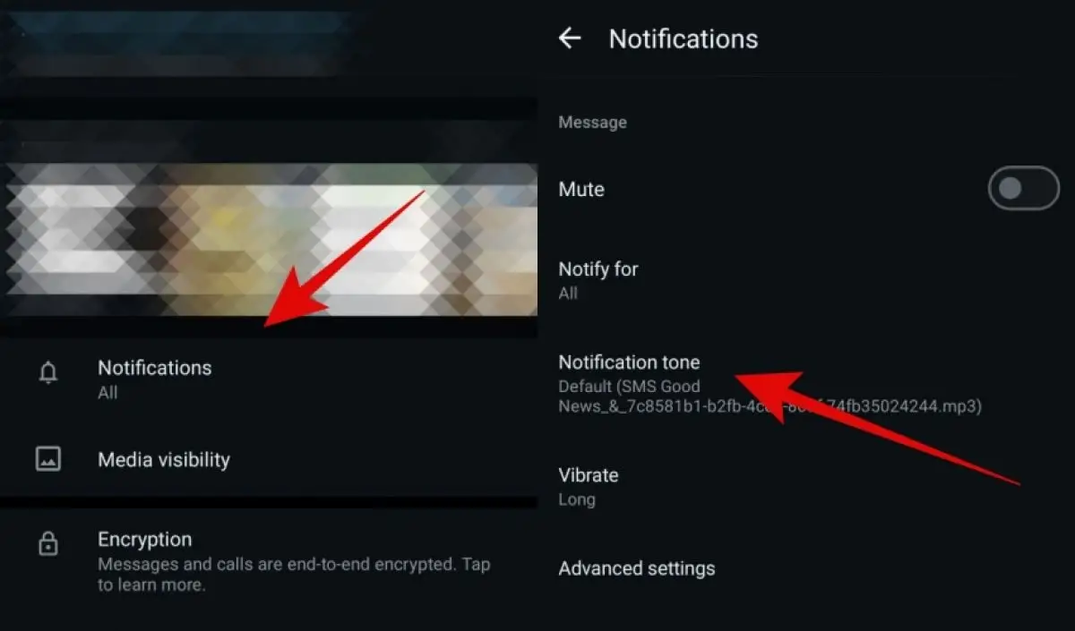 Cara ganti suara notifikasi kontak WhatsApp tertentu, biar bisa langsung tahu siapa saat HP berdering