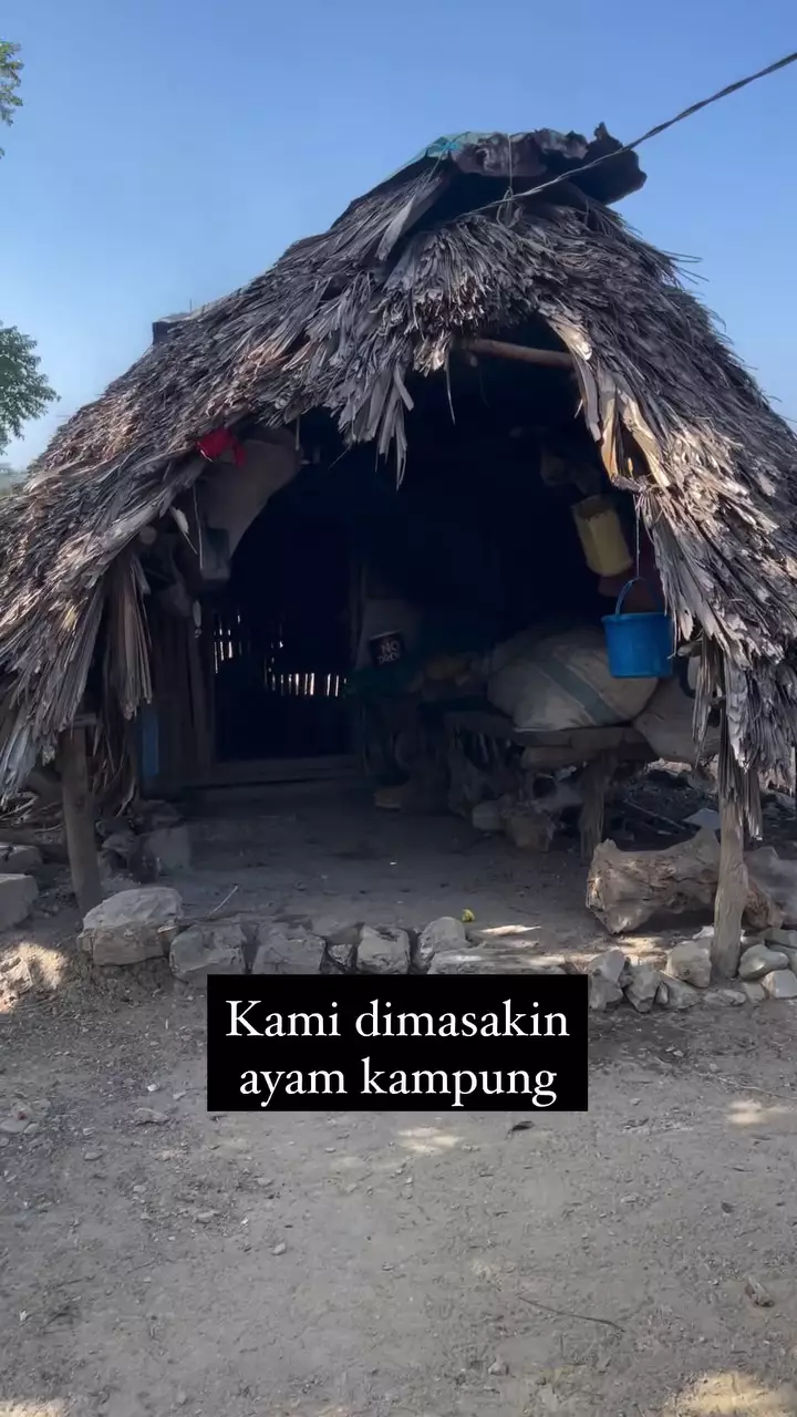 Rumah Melfi mahasiswa pertama UI © 2025 Instagram Rumah Melfi mahasiswa pertama UI © 2025 Instagram