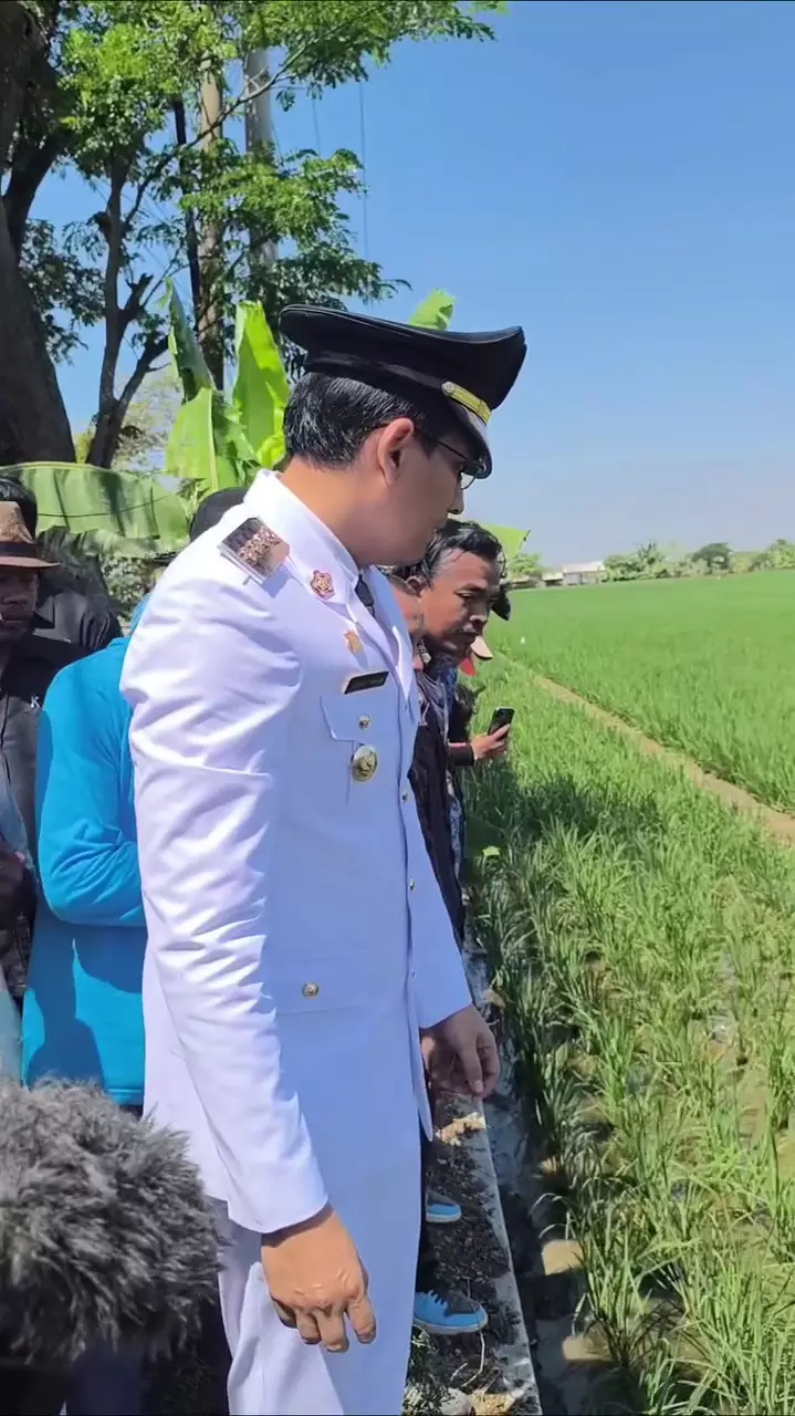 Lucky Hakim lepas ular ke sawah © 2025 Instagram