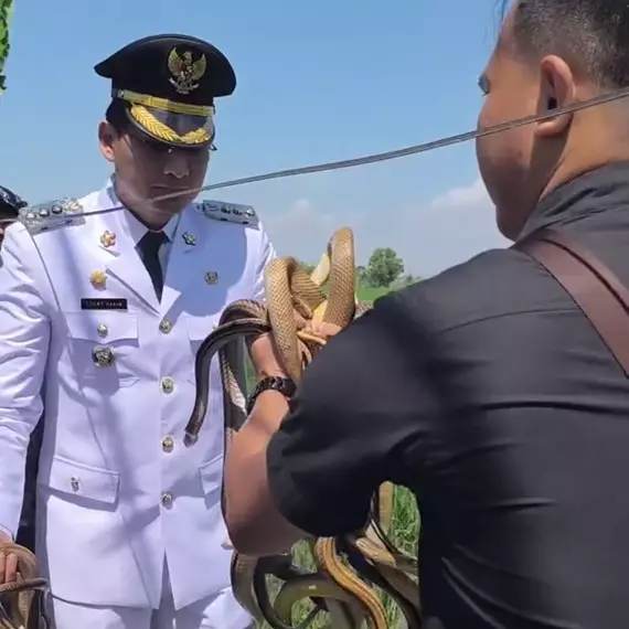7 Potret Lucky Hakim kembali lepas seratusan ular dan biawak untuk atasi hama tikus, tuai pro kontra