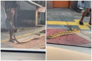 Kesal banyak pengendara motor naik ke trotoar, pria ini nekat taruh ular piton di pinggir jalan